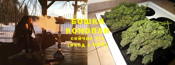 твердый Магас