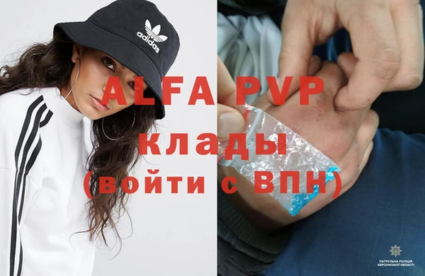твердый Магас