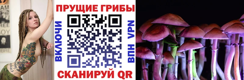 Псилоцибиновые грибы мицелий  mega онион  Сочи 